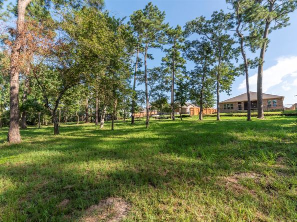 18006 Ponte Vecchio Way, Houston TX 77044
