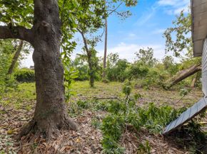 206 Owens Street, Houston TX 77029