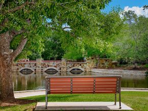 75 Colonial Row Drive, The Woodlands TX 77380