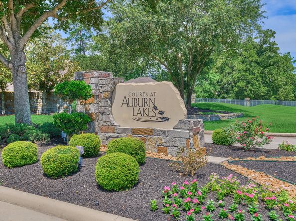25011 Bow Wood Court, Spring TX 77389