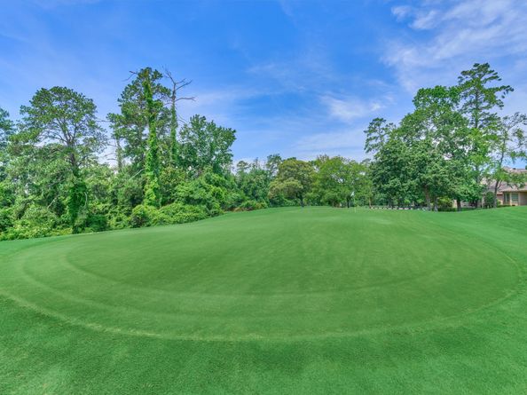 25011 Bow Wood Court, Spring TX 77389