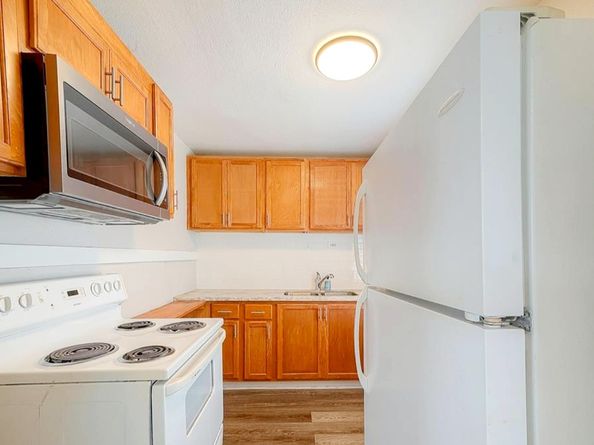 1511 Scharpe Street, Houston TX 77023