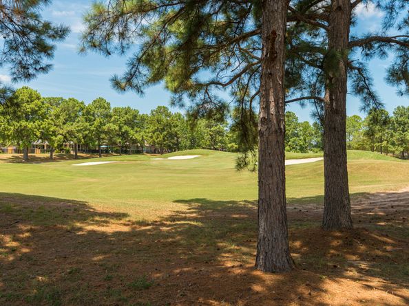 1323 Arden Forest Drive, Spring TX 77379