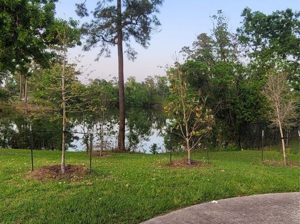 9227 Lake Park, Houston TX 77078