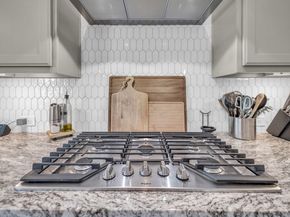 12238 Seagrape Lane, Conroe TX 77304