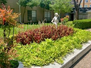 2600 Bellefontaine Street A18, Houston TX 77025
