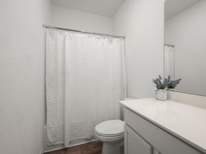 3149 Catalonion Court, Conroe TX 77301