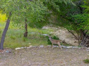 156 Lakefront Drive, Point Venture TX 78645