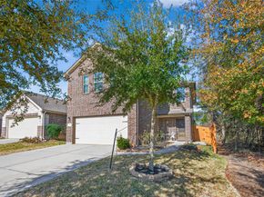 23704 Wood Green Terrace Drive, New Caney TX 77357