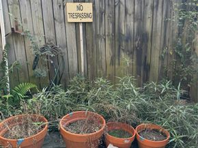 7815 Grove Ridge Drive, Houston TX 77061