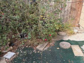 7815 Grove Ridge Drive, Houston TX 77061