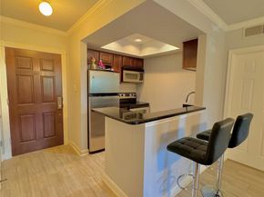 4515 Briar Hollow Place 112, Houston TX 77027