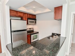 4515 Briar Hollow Place 112, Houston TX 77027