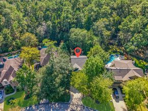 15 Forest Perch Place, The Woodlands TX 77382