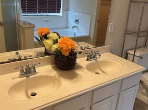 4102 Autumn View Drive, Houston TX 77048