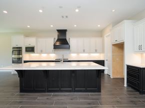 27899 Serenata Springs Drive, Spring TX 77386