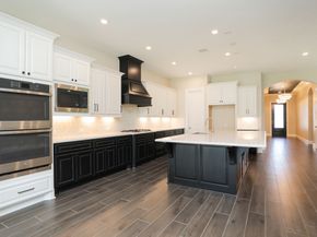 27899 Serenata Springs Drive, Spring TX 77386