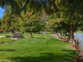 3 Black Cormorant Place, The Woodlands TX 77380