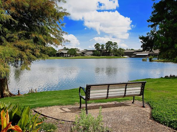 3 Black Cormorant Place, The Woodlands TX 77380