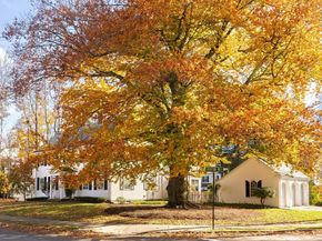 138 Waban Avenue, Newton MA 02468