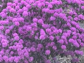 23 Germain St, Worcester MA 01602