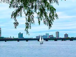 2 Hawthorne Pl 14N, Boston MA 02114