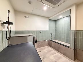 1 Nevins Hill Way 507, Boston MA 02135