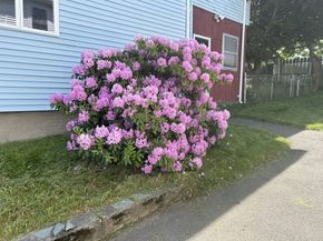 29 Oakland Ave, Everett MA 02149