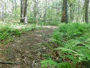 159 Woodland Mead, Hamilton MA 01982