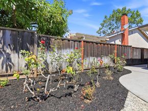 292 Esteban Way, San Jose CA 95119