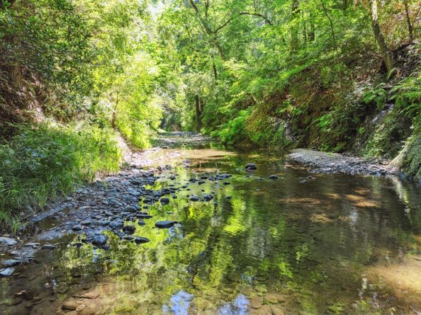 200 Shady Lane, Boulder Creek CA 95006