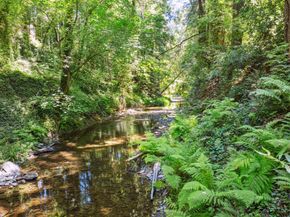 200 Shady Lane, Boulder Creek CA 95006