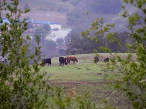 435 Tabor Drive, Scotts Valley CA 95066