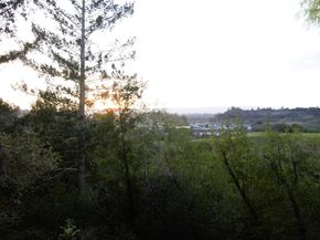 435 Tabor Drive, Scotts Valley CA 95066