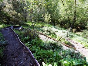 435 Tabor Drive, Scotts Valley CA 95066