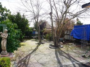 35037 Begonia Street, Union City CA 94587