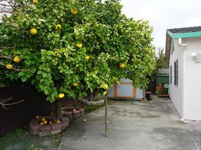 32262 Crest Lane, Union City CA 94587