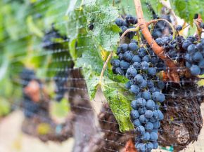 5371 Stonehurst Drive, Martinez CA 94553