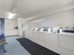 Alamo, Mountain View CA 94043