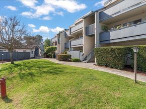 Alamo, Mountain View CA 94043