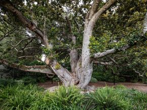 77 Flood Circle, Atherton CA 94027