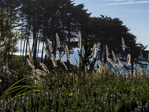 16 Seascape Resort Drive, Aptos CA 95003