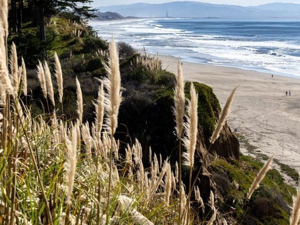 16 Seascape Resort Drive, Aptos CA 95003