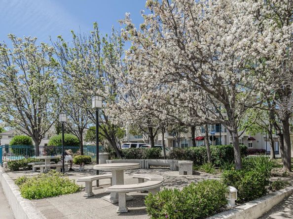 701 Baltic Circle 729, Redwood Shores CA 94065