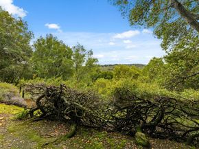 3387 Brittan Avenue 2, San Carlos CA 94070