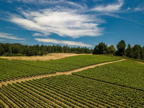 471 Country Estates Terrace, Santa Cruz CA 95060