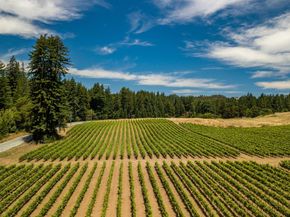 471 Country Estates Terrace, Santa Cruz CA 95060