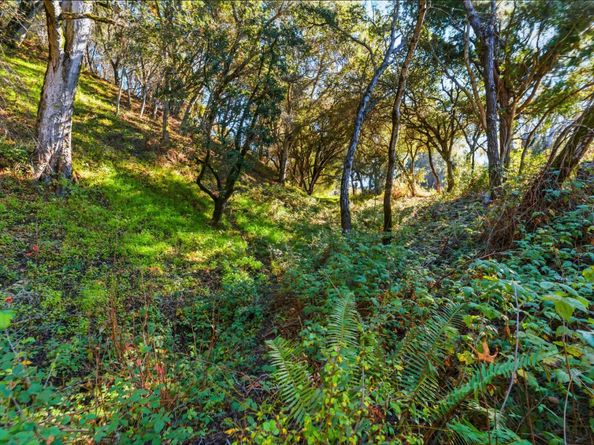 206 Gaffey Road, Watsonville CA 95076