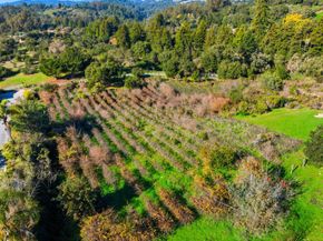 206 Gaffey Road, Watsonville CA 95076