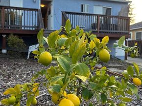 2260 Romey Lane, Hayward CA 94541